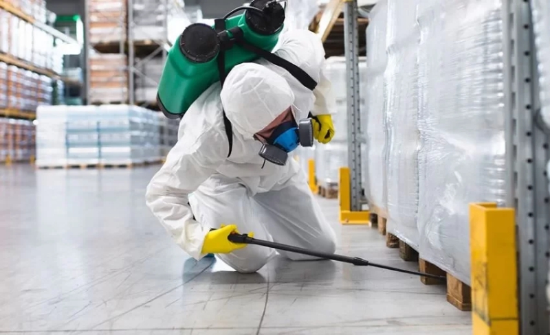 Benefícios do Controle de Pragas Profissional para Empresas