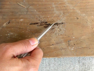 Como Identificar os Primeiros Sinais de Infestação de Cupins