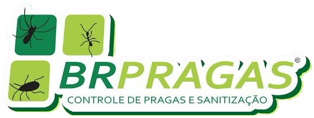 BR Pragas – Controle de Pragas e Dedetização